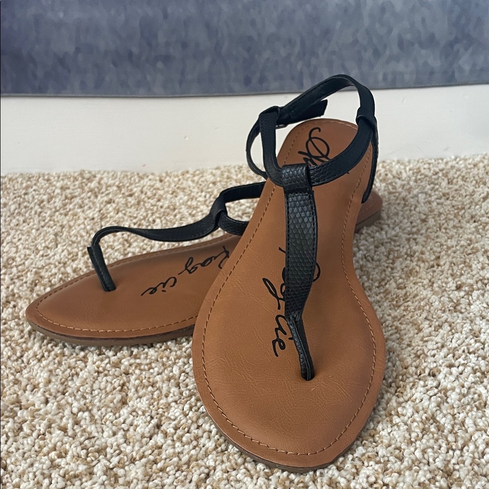 Stylish Black and Brown Sandals